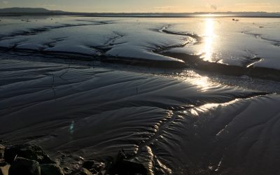 Running with the Ebb Tide: Halcyon Days